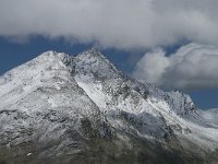 CH, Wallis, Saas Almagell, Stellihorn 2, Saxifraga-Willem van Kruijsbergen